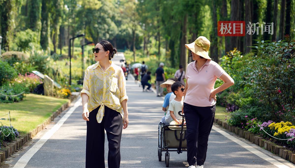 娱乐平台排名